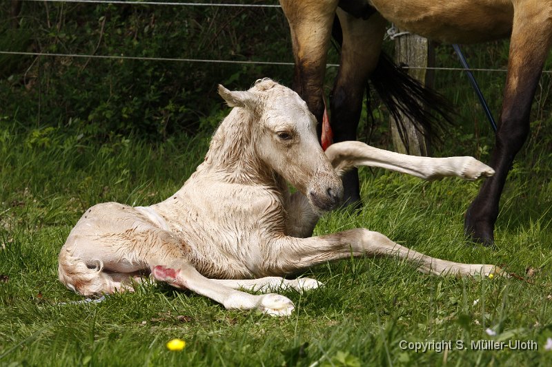 Hjoerdis 13 Min alt (11).JPG